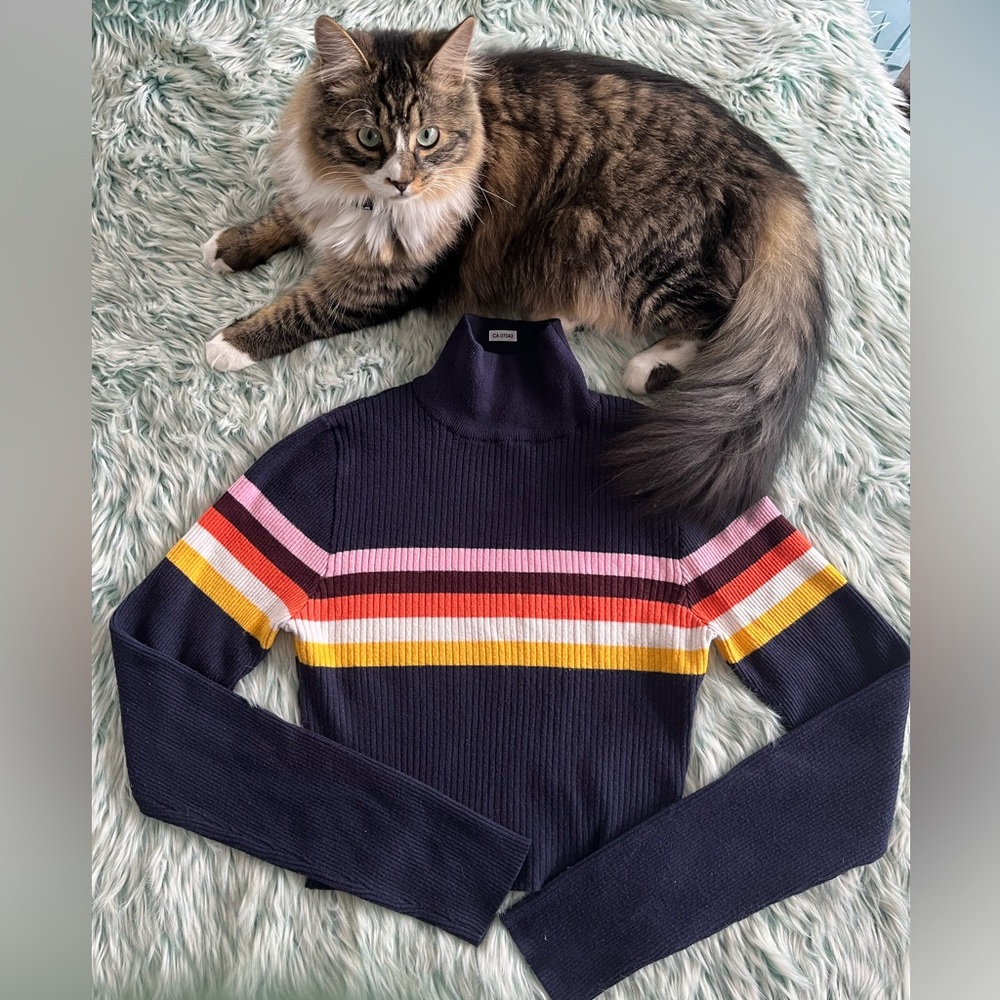 Fun, Striped, Navy Cropped Sweater. Size XL
